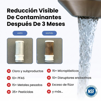 Purificador de Agua + 2 filtros gratis